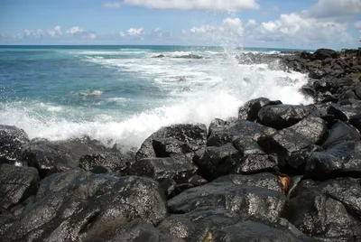 2007_05_30_HAWAII (42) (Large).JPG